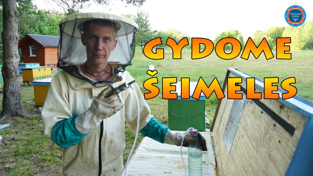 Bičių šeimelės + oksalo rugštis