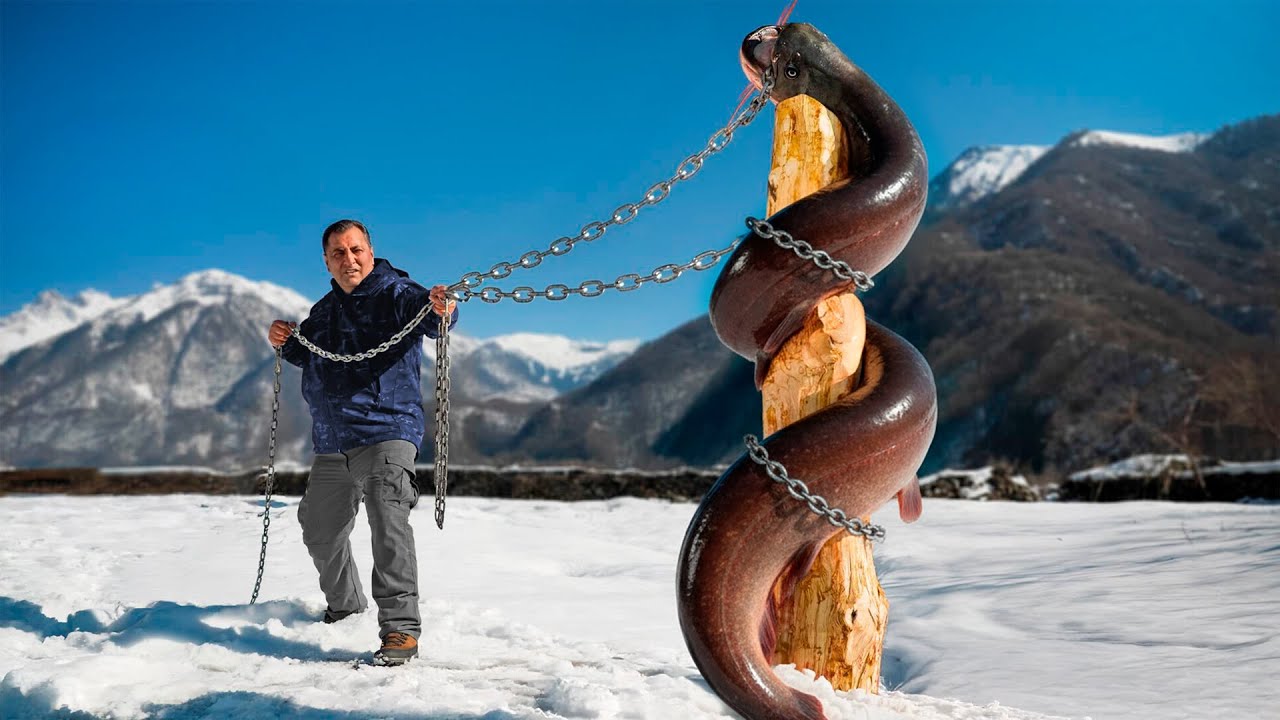 Jörmungandr-Sized Fish Catch & Cook 🐍 Epic Wilderness Cooking