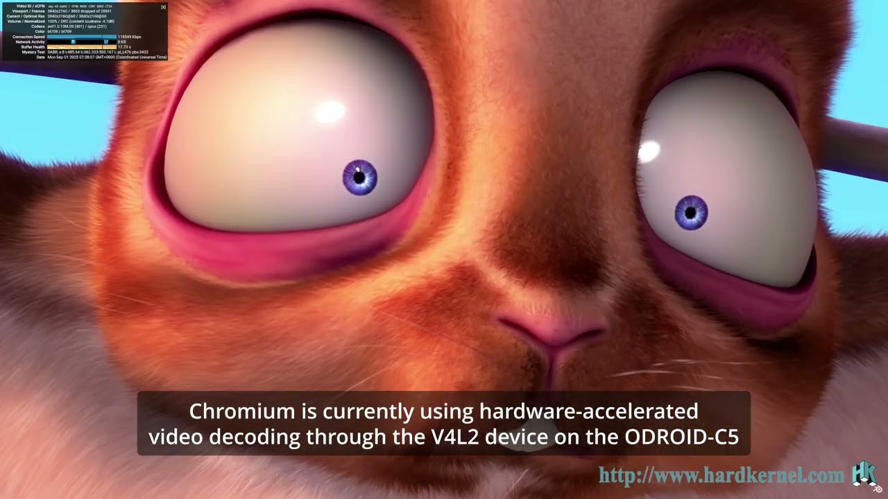 ODROID-C5 Chromium(ver.138.0.7204.157) Showcase