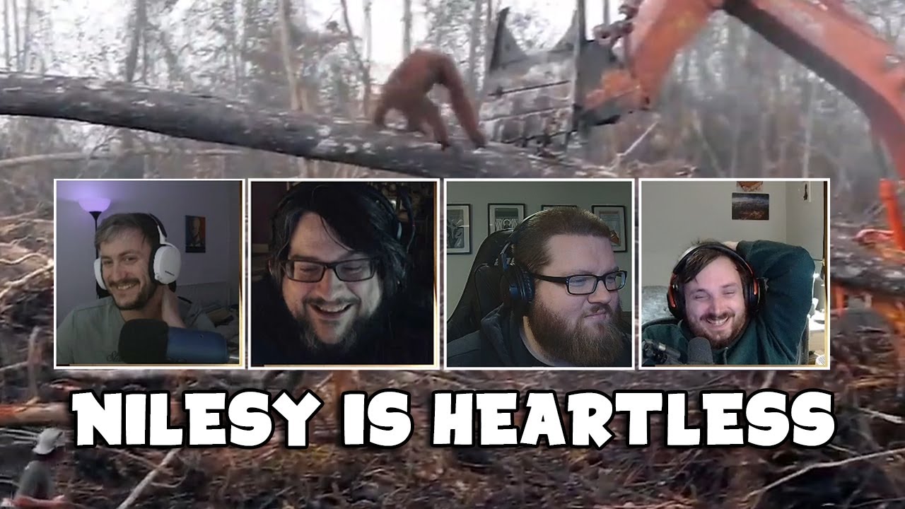 Nilesy finds this sad video funny