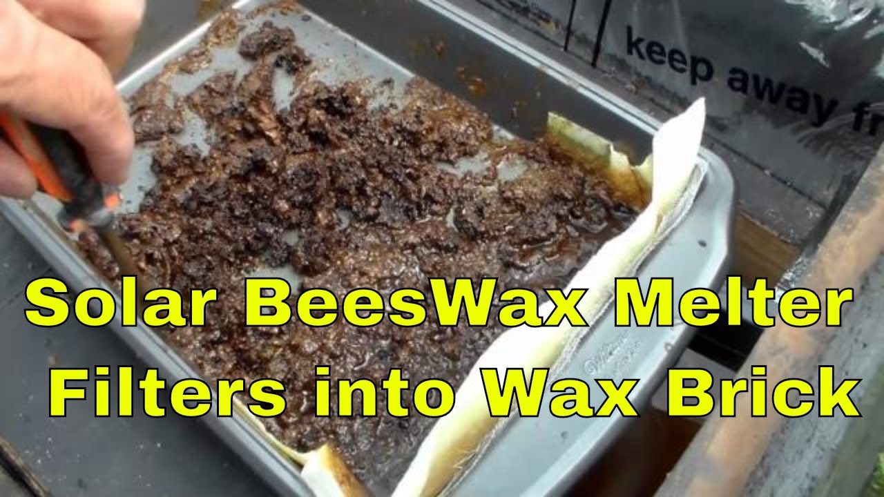 Solar Beeswax Melter Processing Beeswax:  #beekeeping