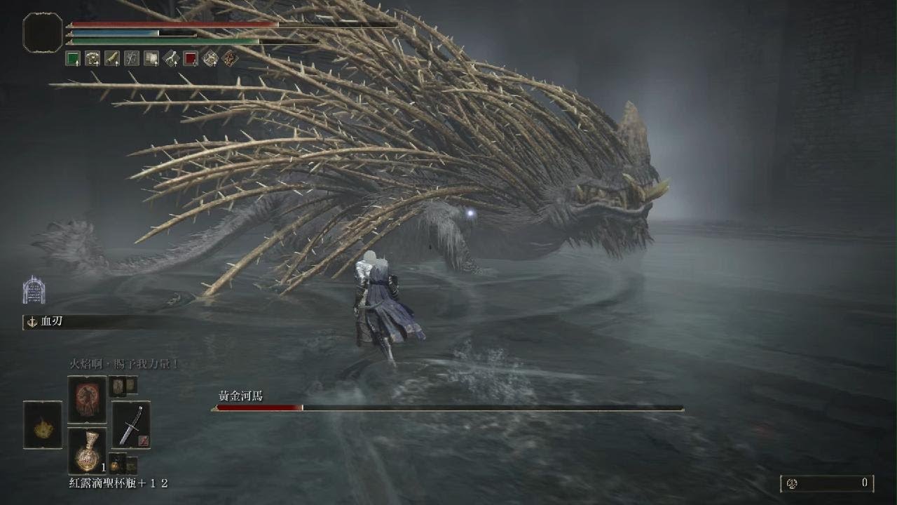 艾爾登法環DLC |黃金河馬solo ，反手劍，二周目