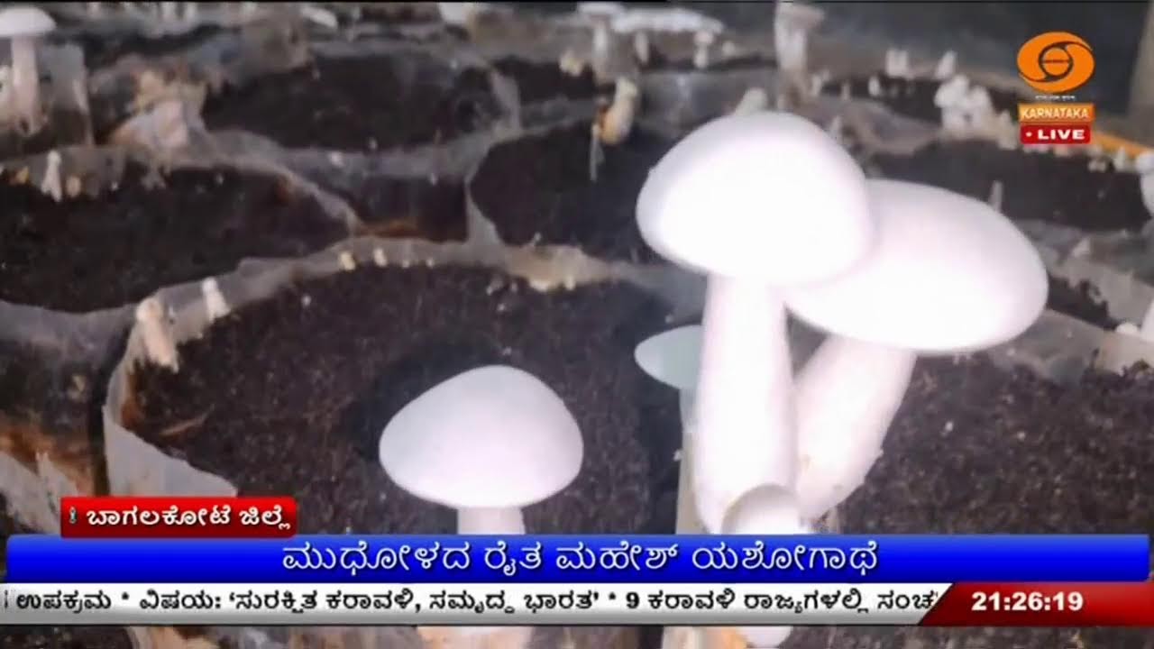 LIVE : DD CHANDANA NEWS 18.02.2026 9.00 PM