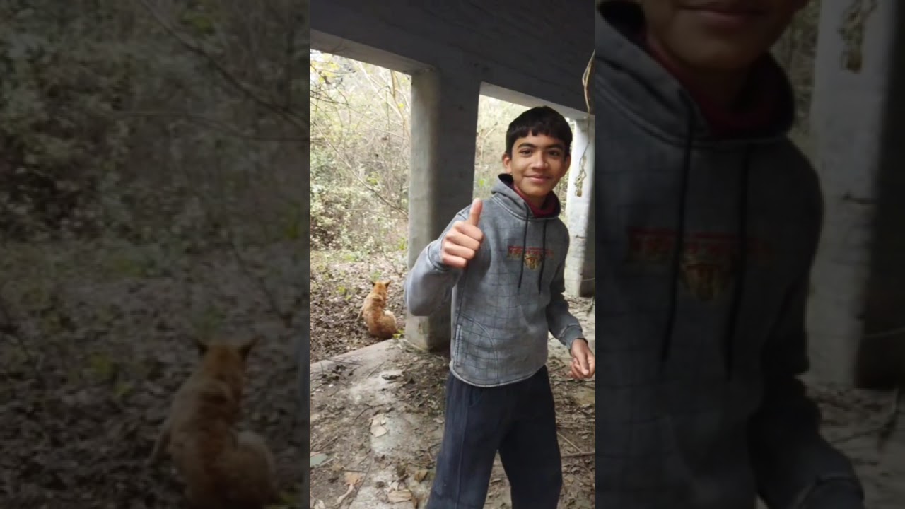 Think twice before entering in abundant place 