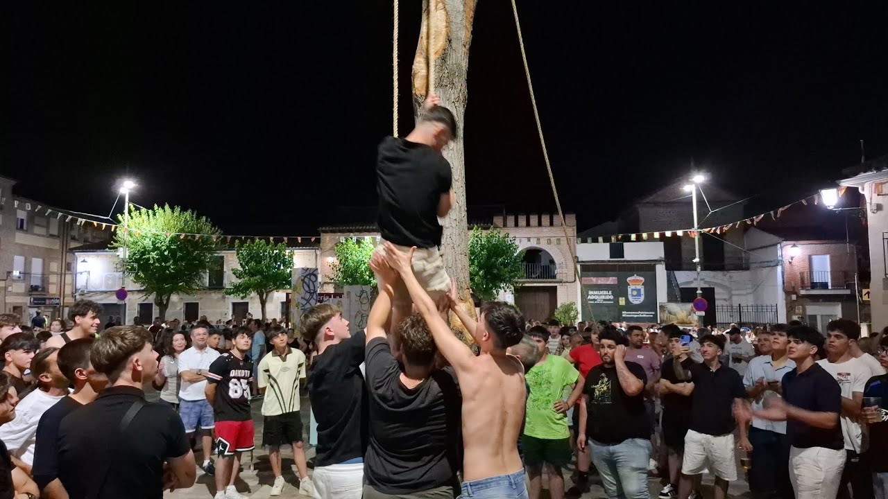 Día del Chopo en Cazalegas,Junio 2025