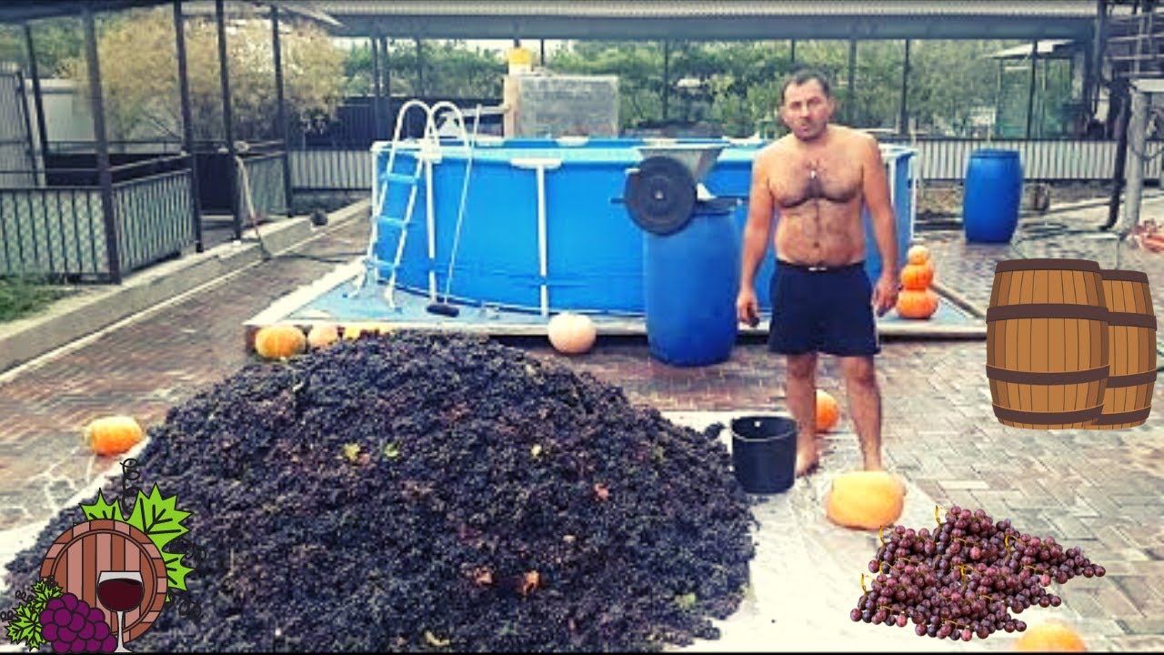 Cómo hacer vino casero | Una receta sencilla de vino tinto casero @GEORGY KAVKAZ Cocinero
