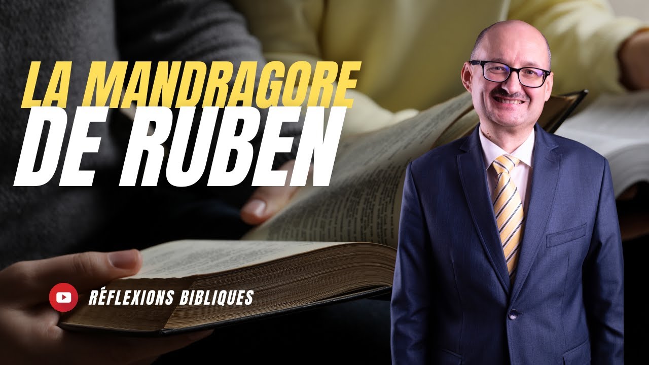 La mandragore de Ruben | R&eacute;flexions Bibliques 📖 💭 | #adventisteffn 🙏🏼