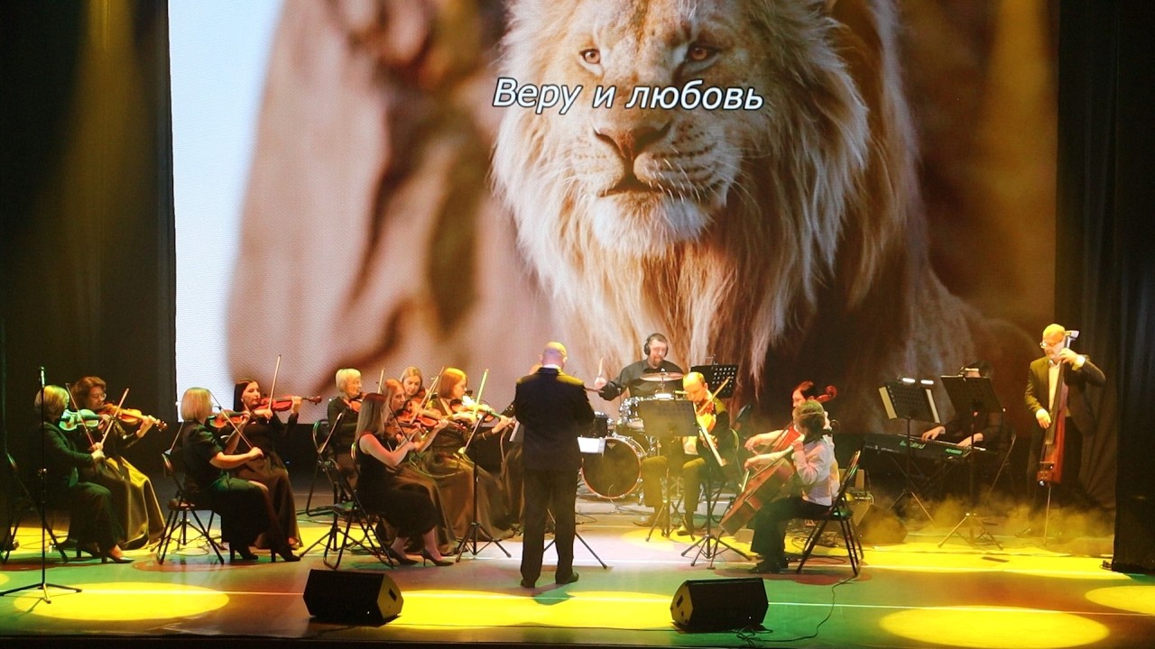 «Нants ingonyama...» – легендарная тема Элтона Джона в живом оркестровом исполнении