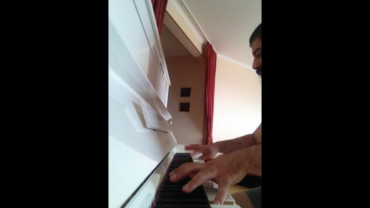 Stanislav Pinkhasov - 