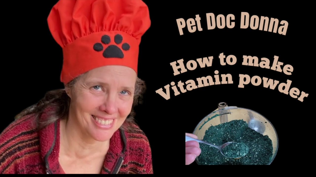 STOP Flea Infestations with Pet Doc Donna's POWERFUL Vitamin Formula!