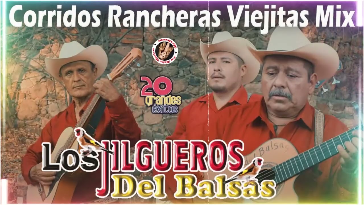 Los Jilgueros Del Balsas Con Tololoche || Corridos Rancheras Viejitas Mix