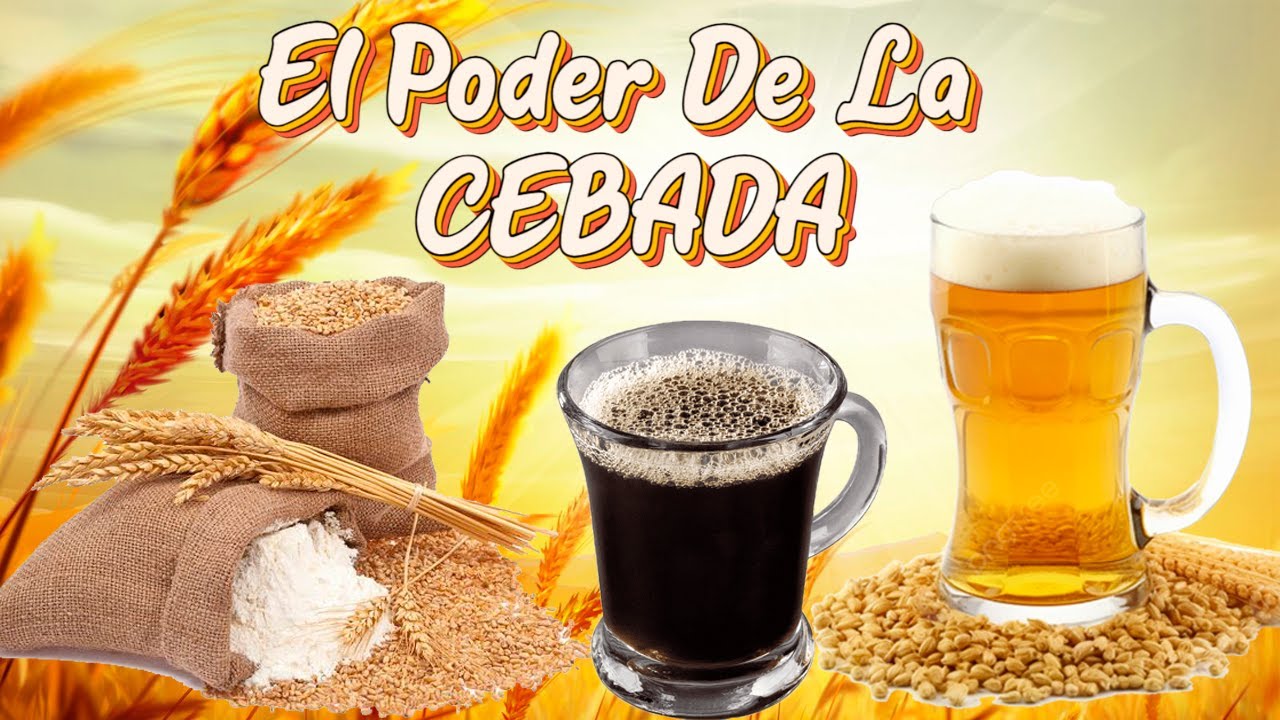 Beneficios de la Cebada  Propiedades Usos y Consumo
