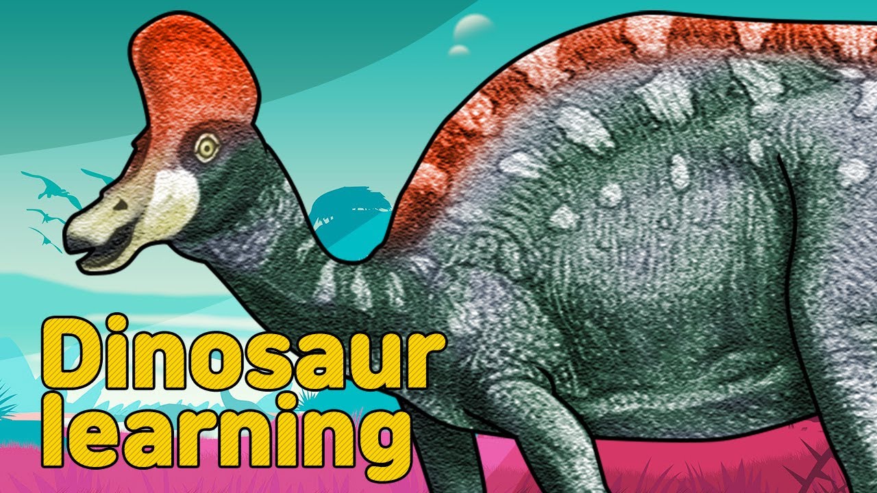 Dinosaur Corythosaurus Collection | Herbivorous Dinosaur Corythosaurus | Dinosaur Corythosaurus