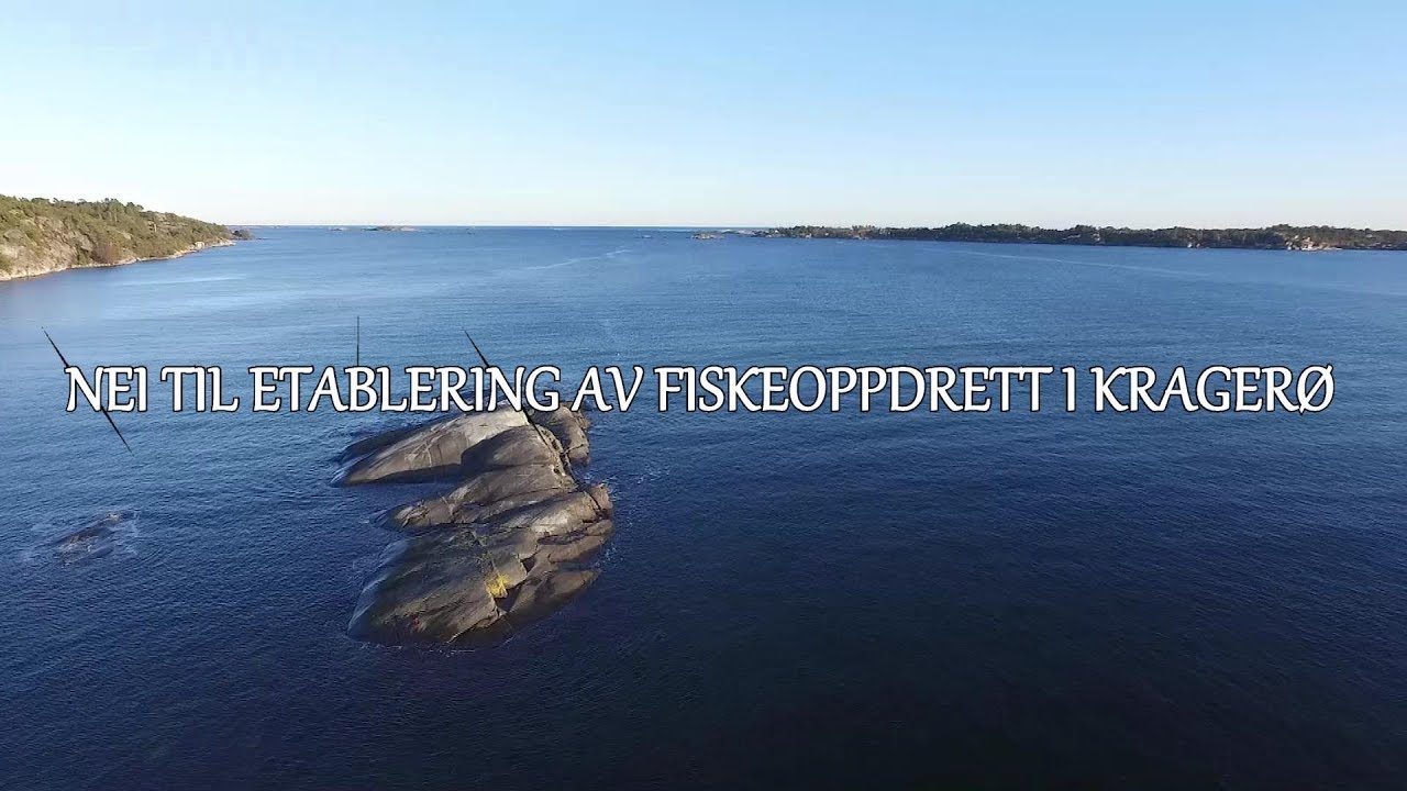 Jakten På Sjøørreten - Nei til etablering av oppdrettsanlegg i Kragerø, Stølefjorden - Fiskejegeren