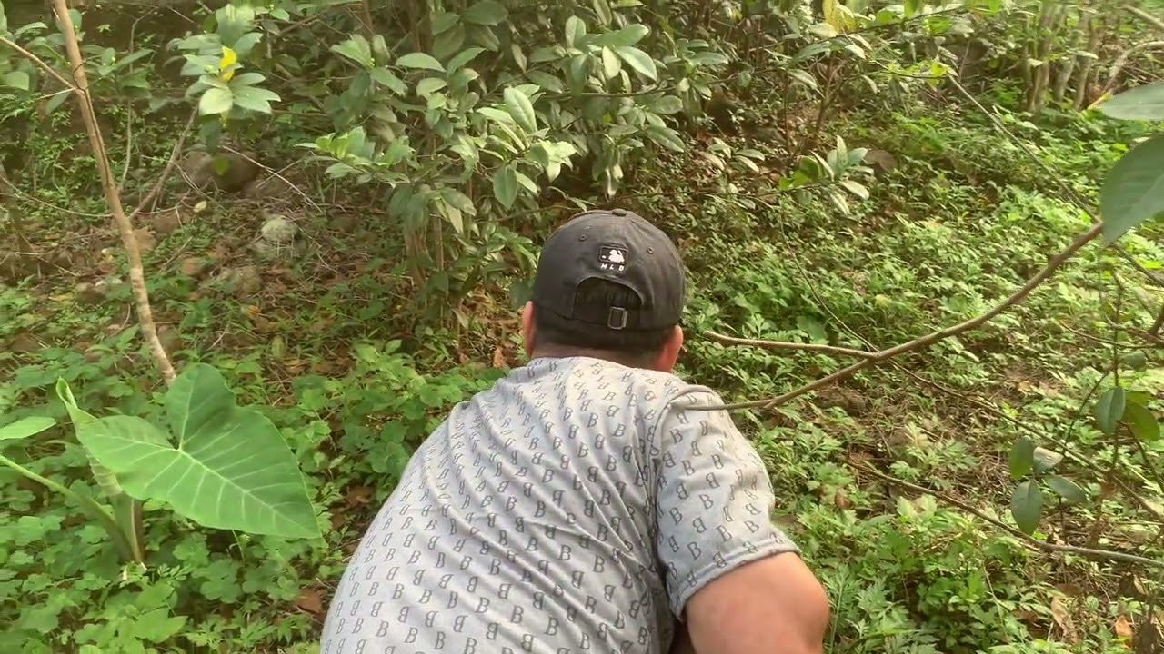 Sau những ngày mưa …