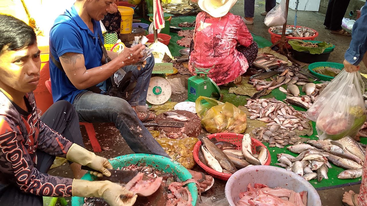 Amazing! On Saturday, Full fishes. This is amazing fish cutting, Boeugchhouk Market, #aseanfish 