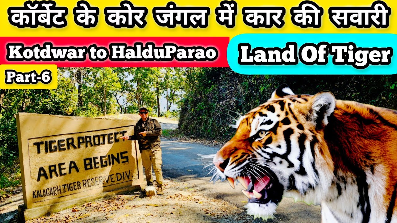 The Untold Secrets of Halduparao Forest & Corbett Reserve