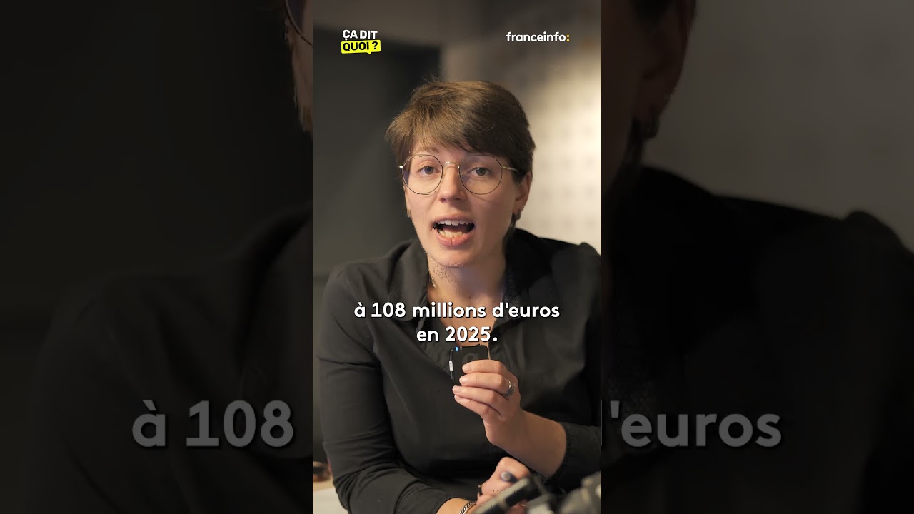 &Agrave; Pau, ville dont Fran&ccedil;ais Bayrou est le maire, la dette a presque doubl&eacute;