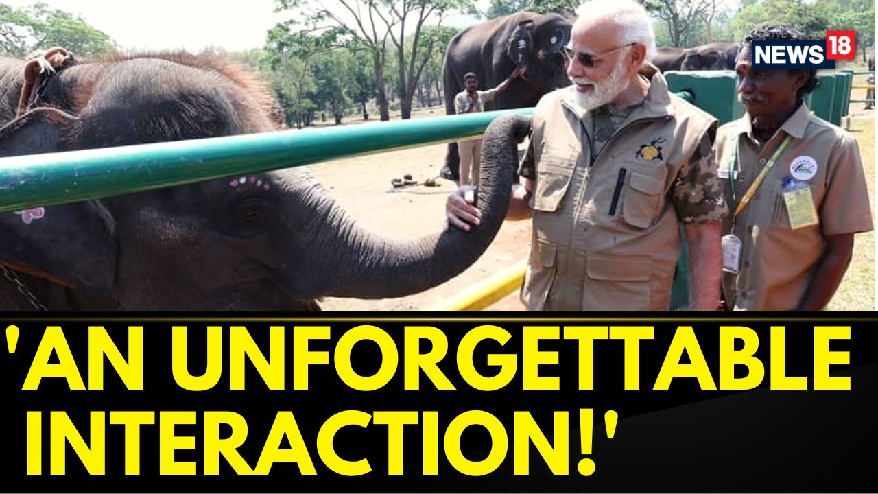 PM Modi Interacts With Elephants At Mudumalai Tiger Reserve | Theppakadu Elephant Camp |English News