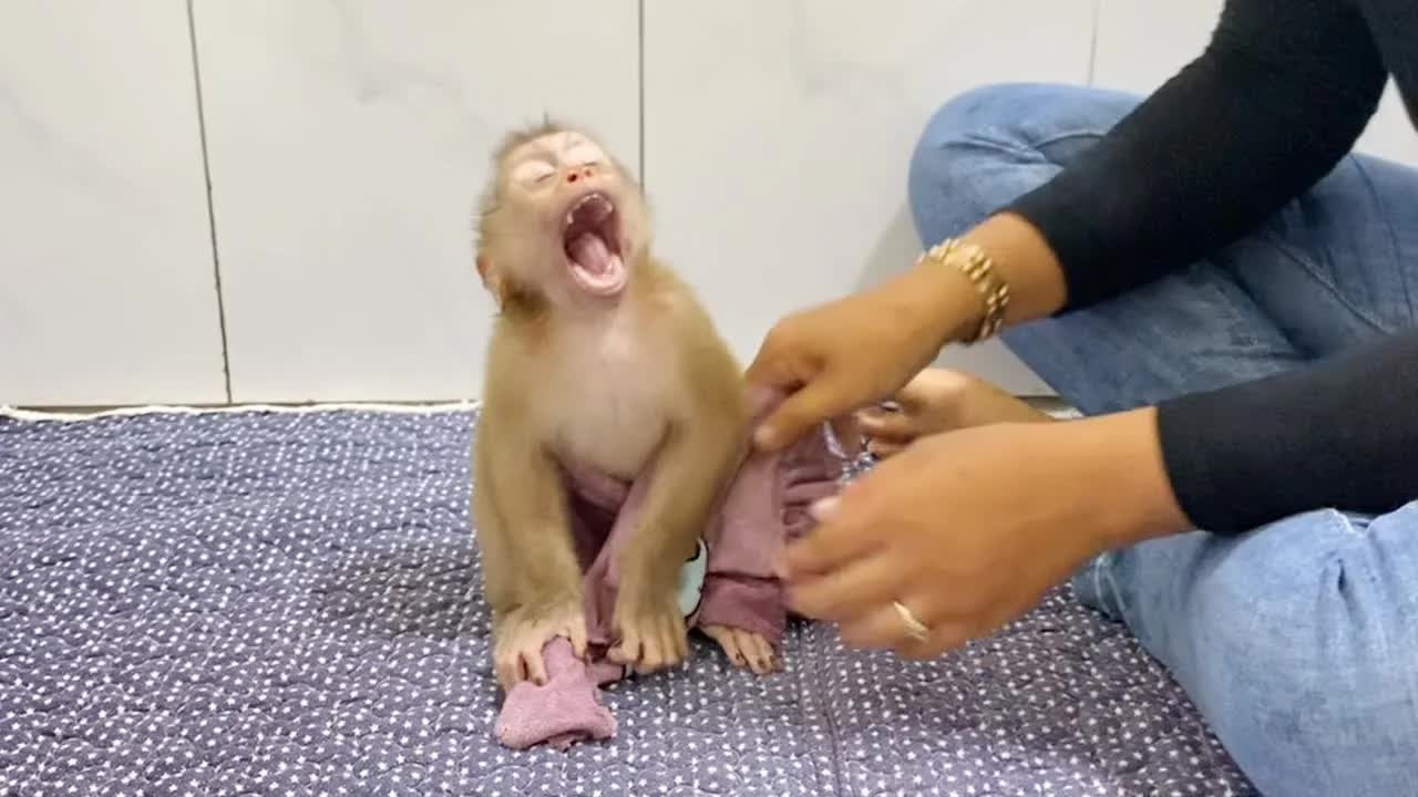 Lil DAM Very Comfortably Yawning After Mom Clean His Body
