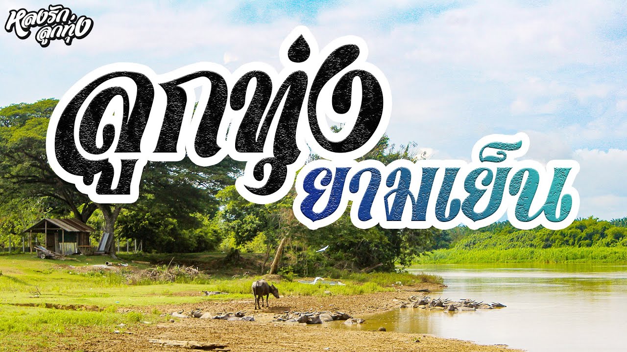 ลูกทุ่ง ยามเย็น [ เธอจะอยู่คอยใคร , หิ้วกระเป๋า ]