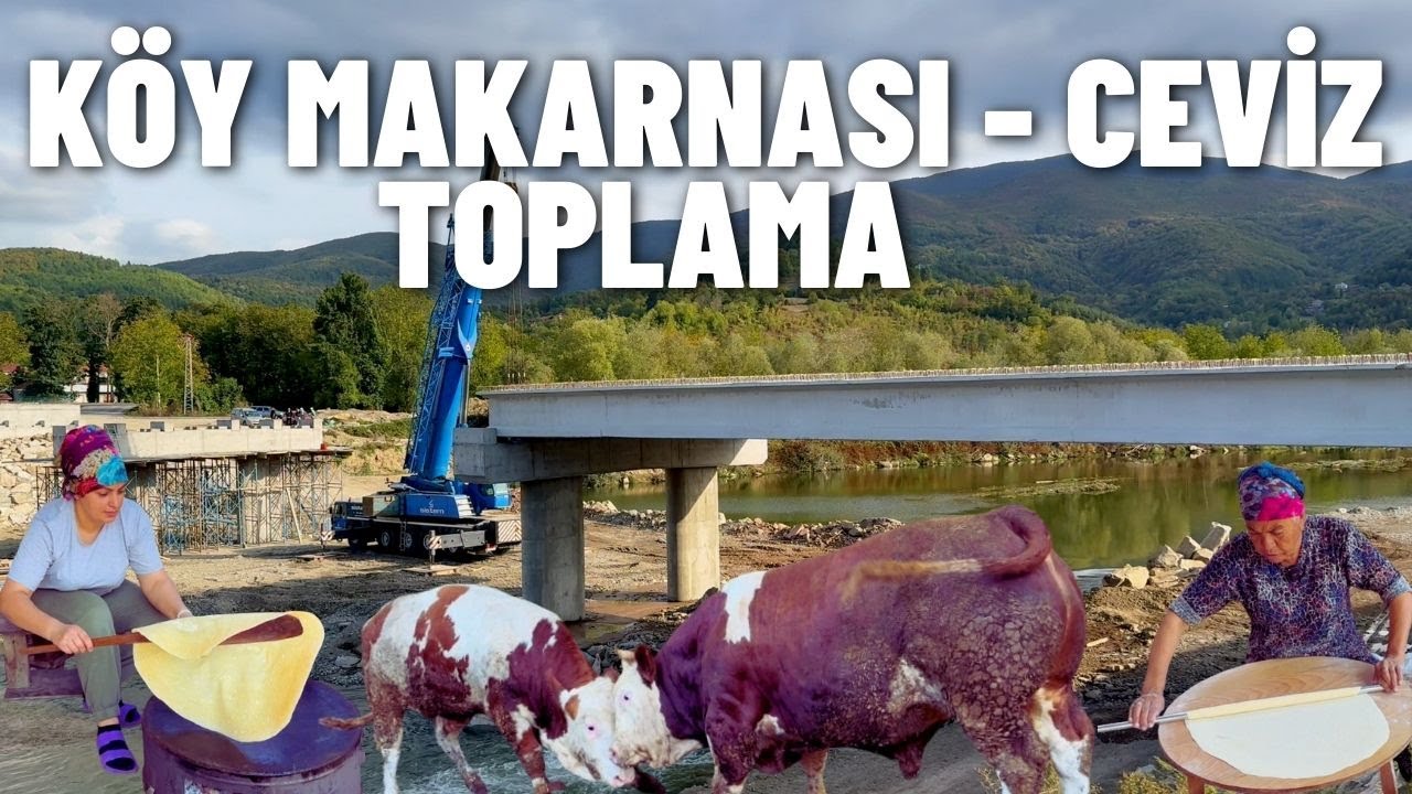 EV YAPIMI MAKARNA ,  CEVİZ HASADI ,  KÖPRÜ İNŞAATI