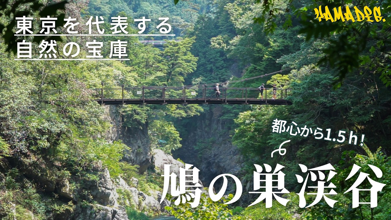 【鳩の巣渓谷】紅葉時期がおすすめ！日帰り約3時間、渓谷美を楽しむトレッキングコース【大多摩ウォーキングトレイル】