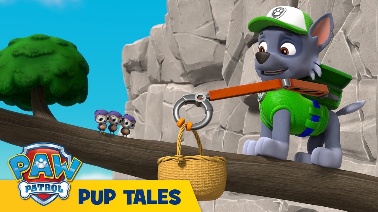 🐶 Pups Save the Bird-Watching Turbots | PAW Patrol | Cartoons for Kids