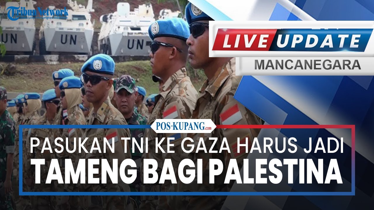 🔴Pasukan TNI ke Gaza Harus Jadi Tameng bagi Palestina, Pakar: Jangan Sampai Picu Perang Baru