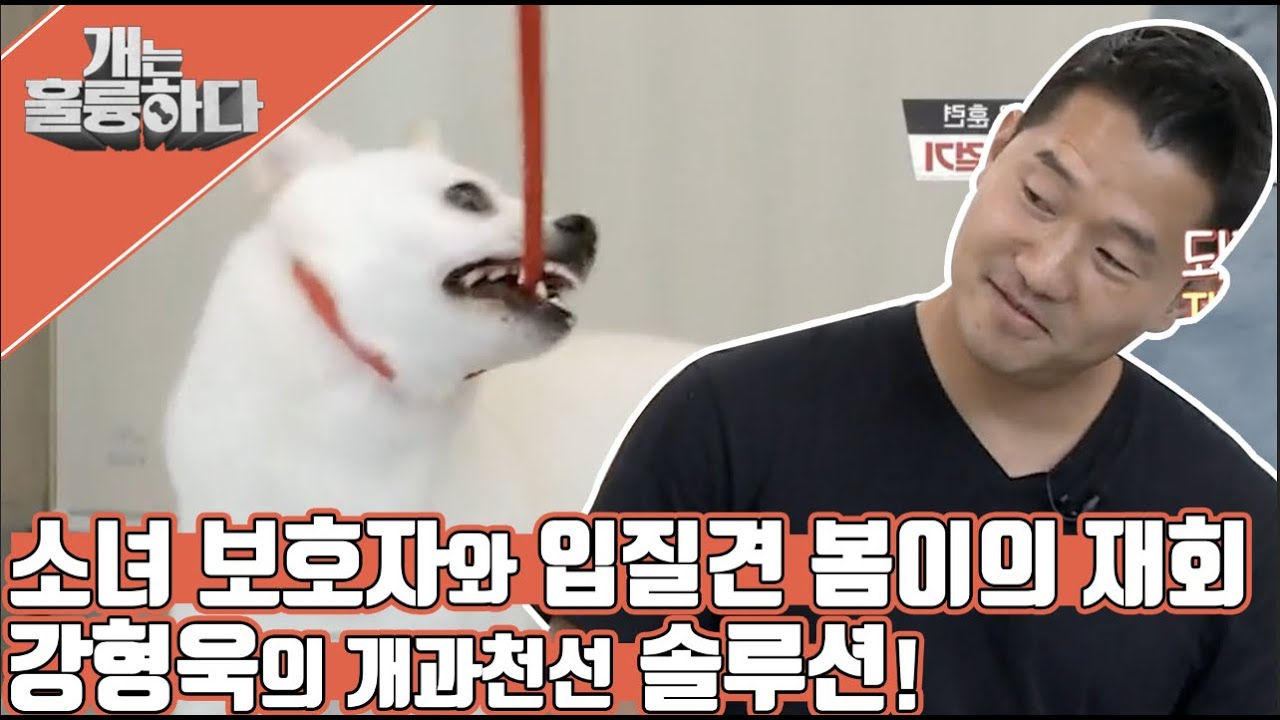 18세 소녀 보호자와 입질견 봄이의 두 번째 이야기!  #개는훌륭하다 #강형욱 ㅣ KBS방송