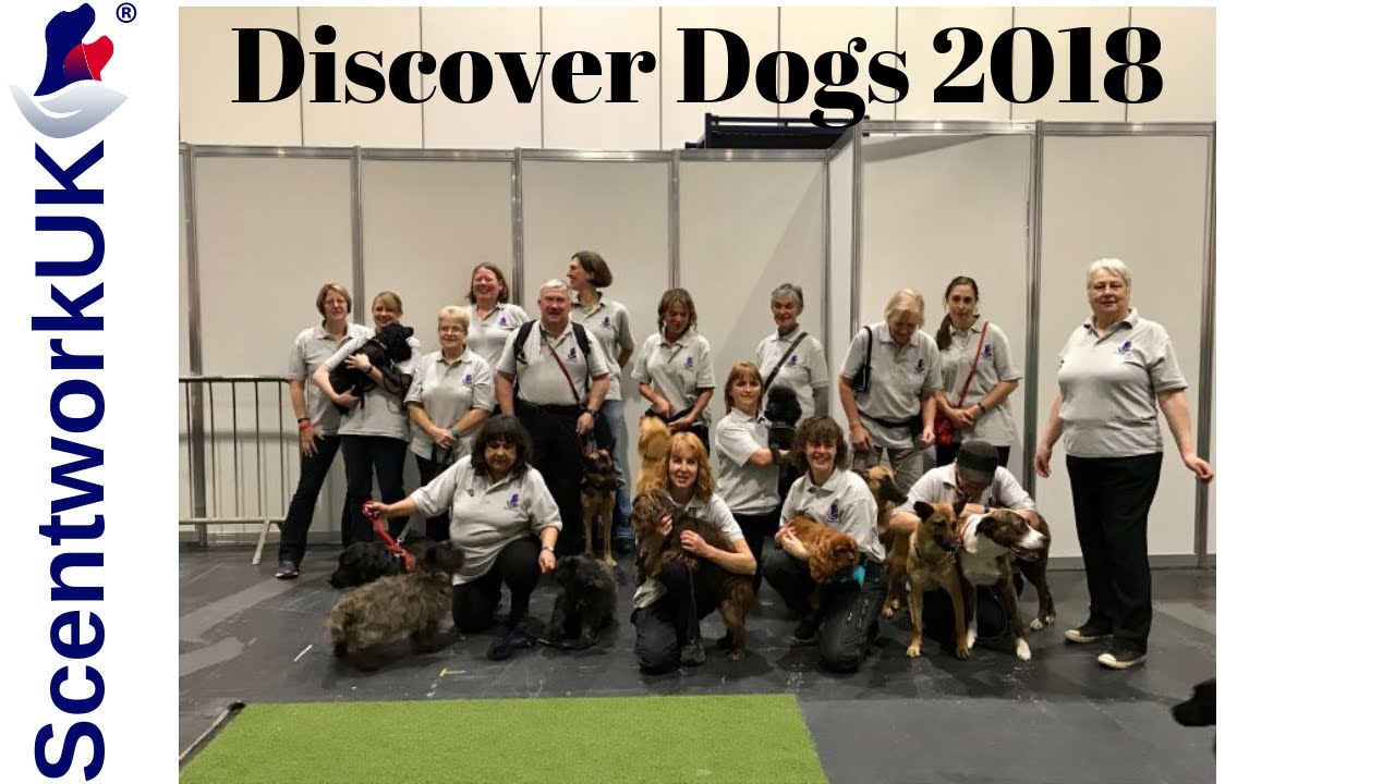 'Discover Dogs' demonstration from 'Scentwork UK' 2018