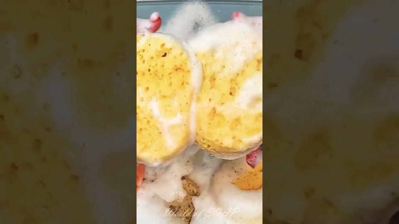 ASMR Stacked squeeze #asmr #sudsandsponges #spongesqueeze