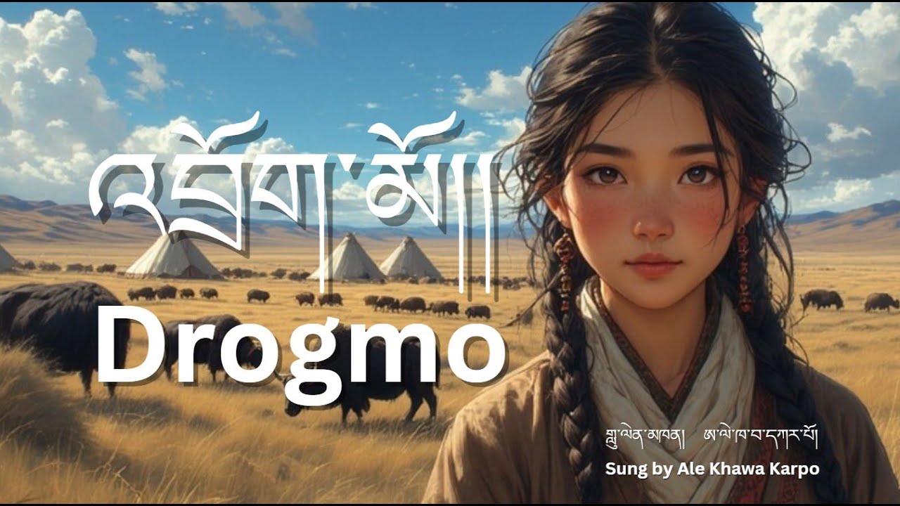 Tibetan Song 2025 / Drogmo /་འབྲོག་མོ།།  Viral Tibetan New Song 2025 #tibetansong  #tibet #Drogmo