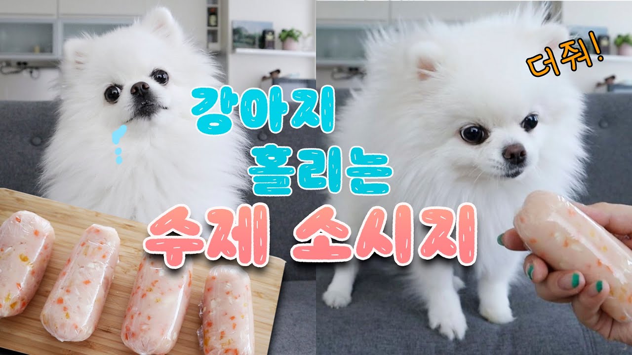 간단하지만 강아지들이 무조건 좋아하는 강아지 간식 소세지 만들기 No오븐 No건조기 | 디바제니