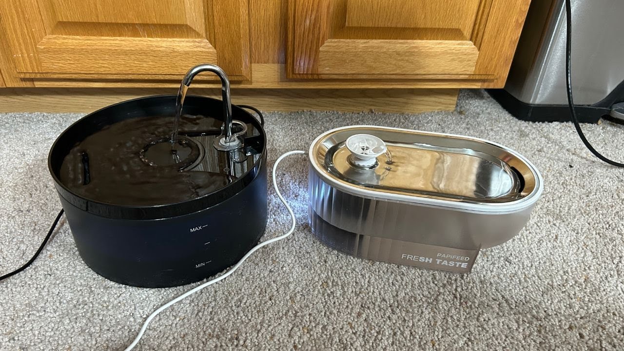 Pros and Cons of Bemoony Vs Papifeed Cat Water Fountains