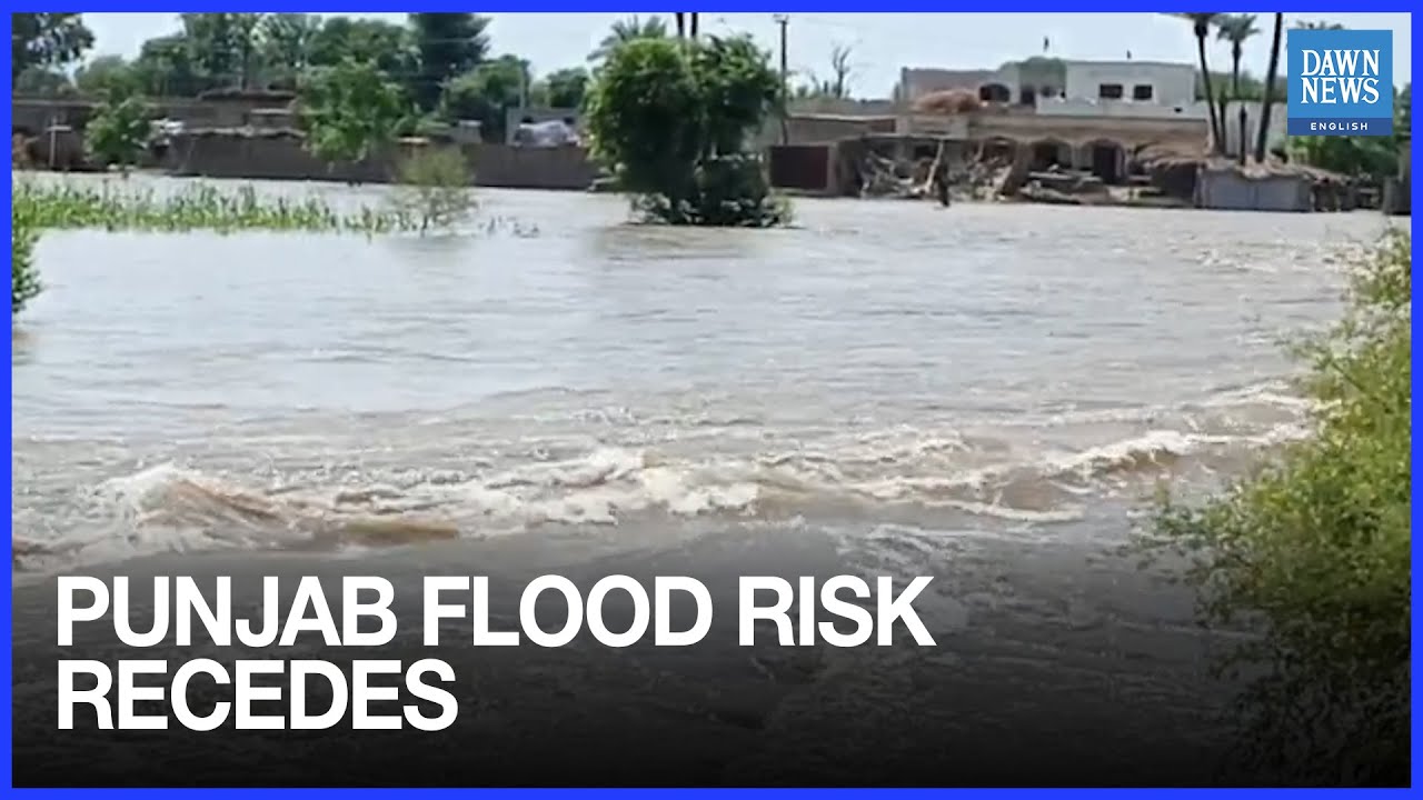 Flood Threat Eases in South Punjab as Rescue Operations Continue | Dawn News English