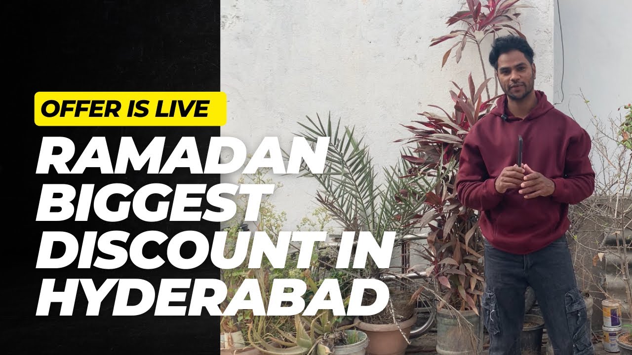 Save Big in Hyderabad! 🛍️ Electronics & Grocery at Wholesale Rates  