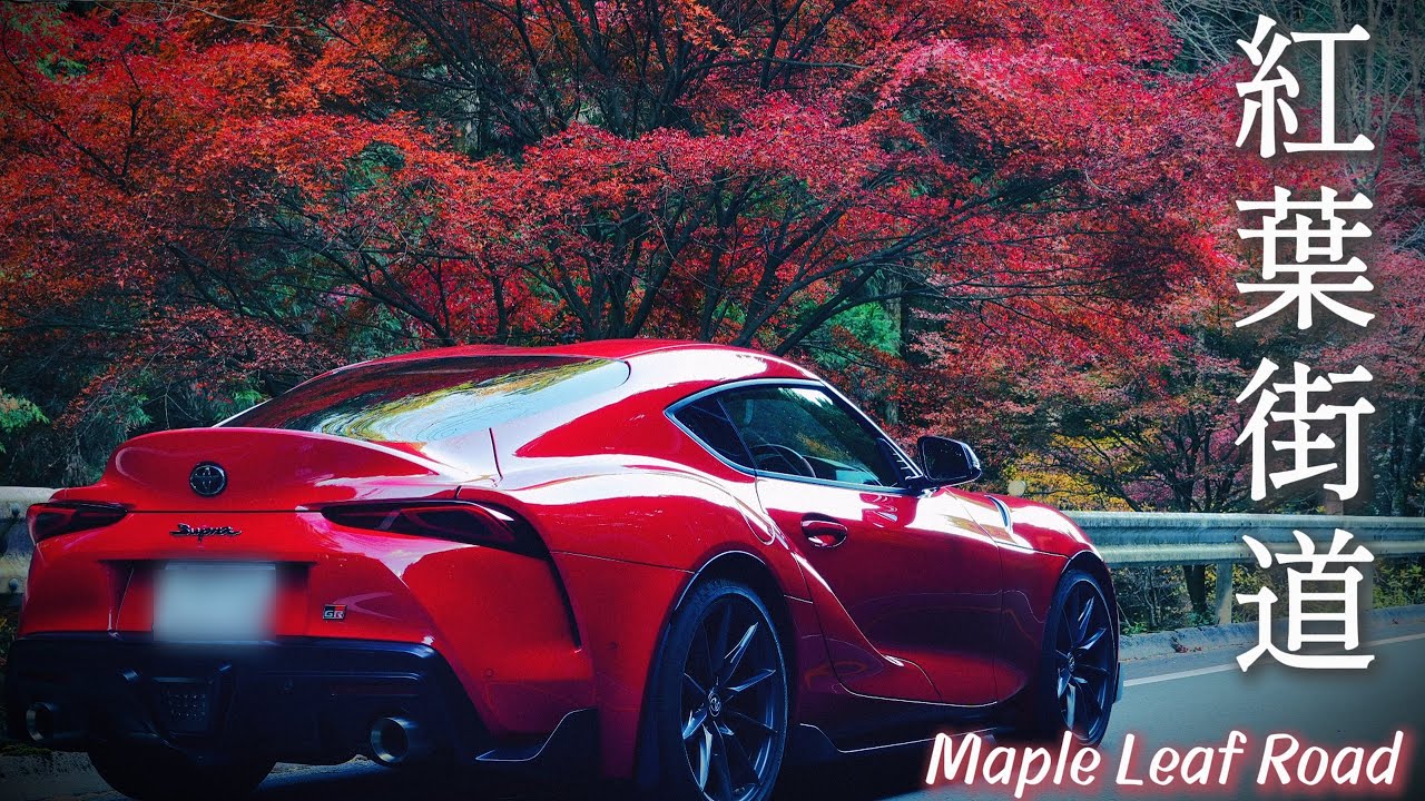 【GR Supra】×紅葉街道｜愛知の極上峠を走る。