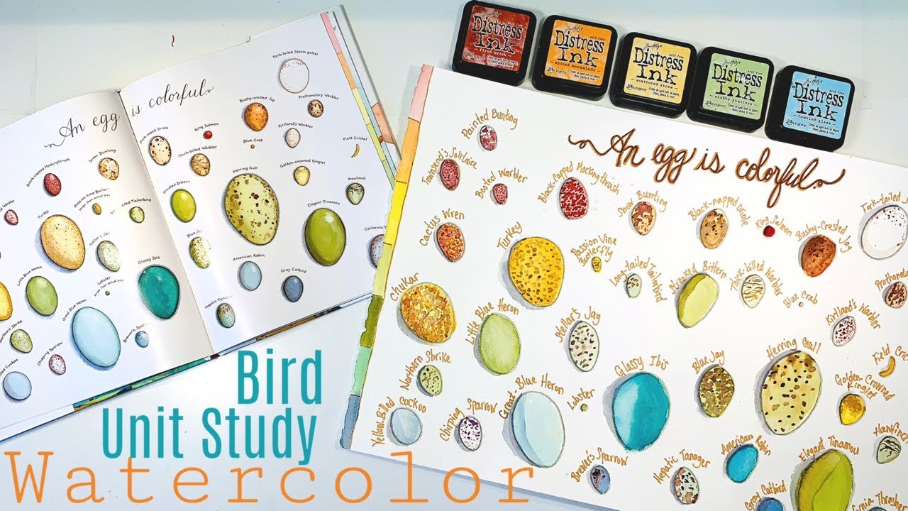 Bird Unit Study | Eggs