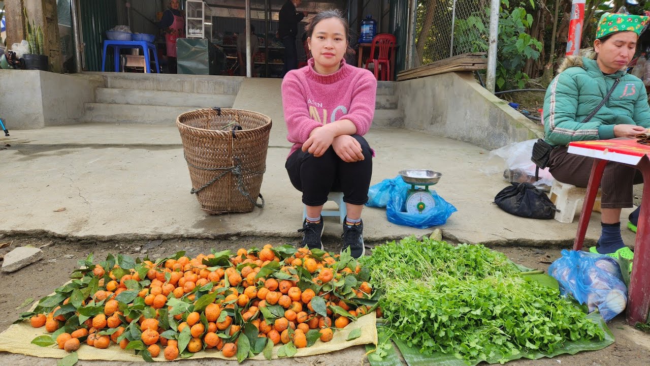 Coriander Harvest & Small Tangerine | Gardening, Grow Vegetable | L&yacute; Thị Ca