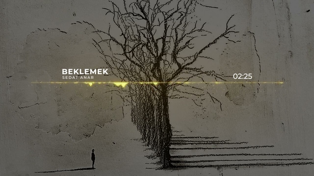 Sedat Anar - Beklemek