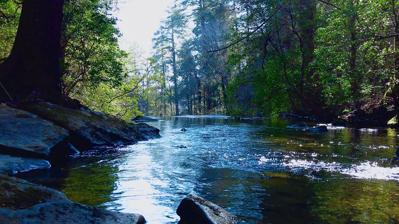 Alum Gap Camp At Stone Door