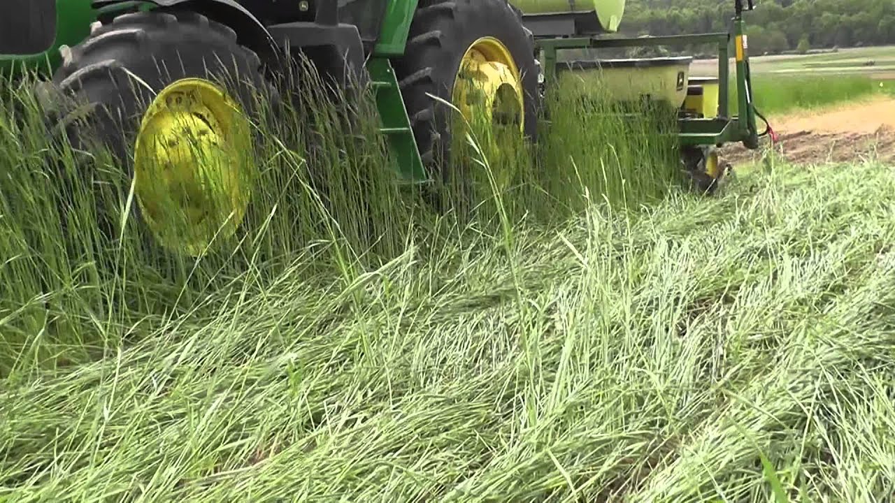 Planting Green