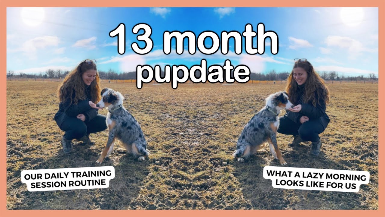 a Lazy Morning, Training Session, Play Fetch, Pet Store, + Bath Time Kinda Day! | 13 Month Pupdate