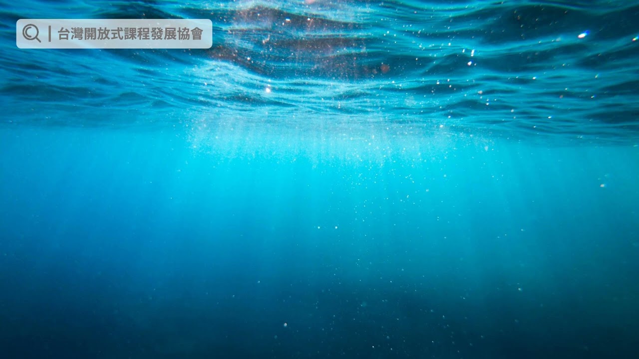 寶寶黑白視覺書【海底世界篇】 親子共讀時光  伴讀白噪音