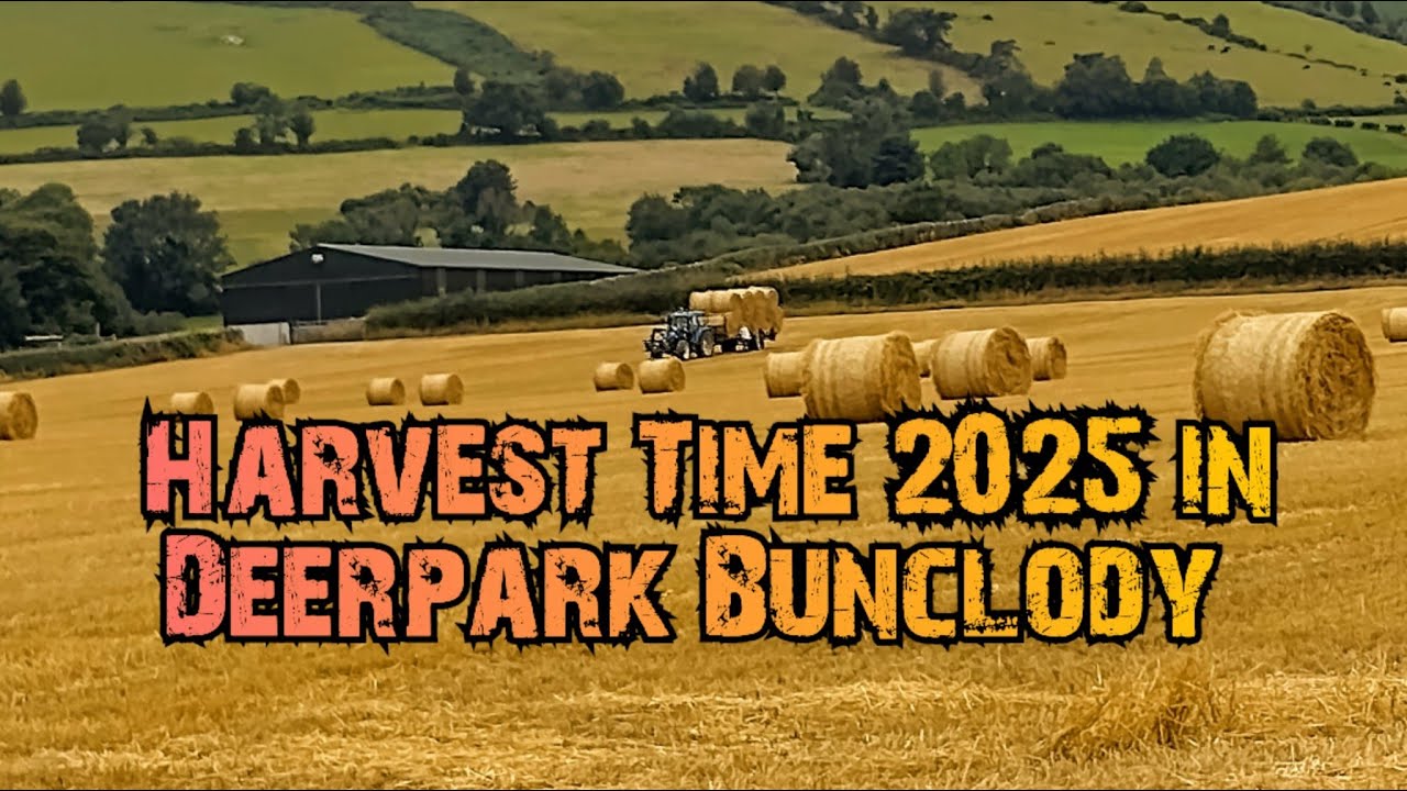 Bailing Time in 🦌 Deerpark Bunclody 2025