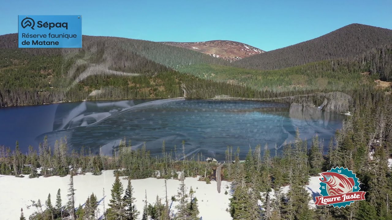 Leurre Juste S06E03 - Réserve faunique de Matane… pour la mouchetée!