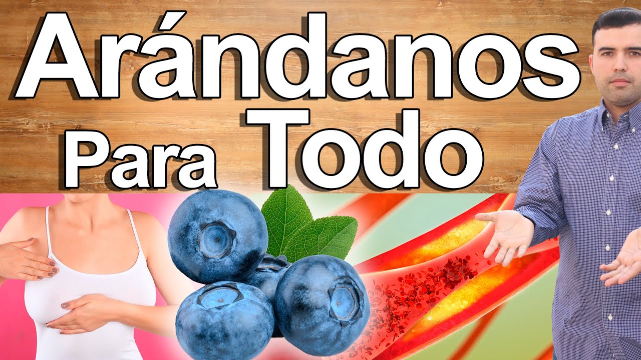 Para Qué Sirven los Arándanos - Beneficios y Propiedades de los Arándanos Para La Salud