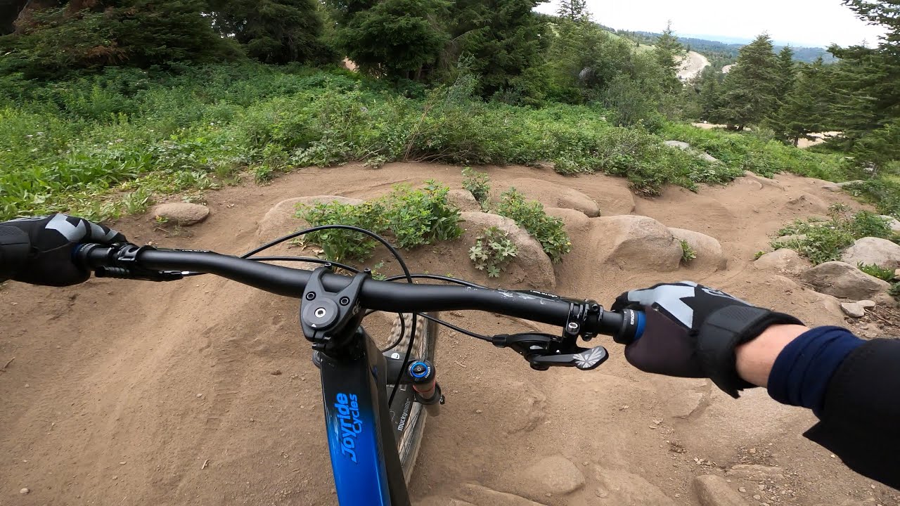 Bogus Basin (Bike Park) ~ A Taste Of It All