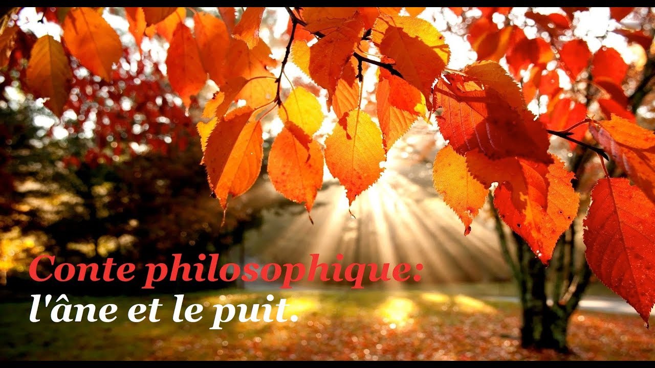 Conte philosophique - l'âne et le puit